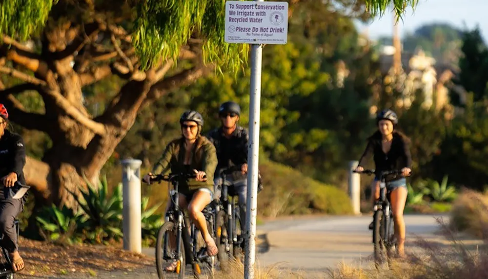 People are riding bicycles on a path surrounded by greenery with a visible sign about recycled water