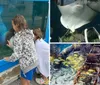 Two children are looking at a woman dressed as a mermaid inside an aquarium display