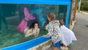 Two children are looking at a woman dressed as a mermaid inside an aquarium display.