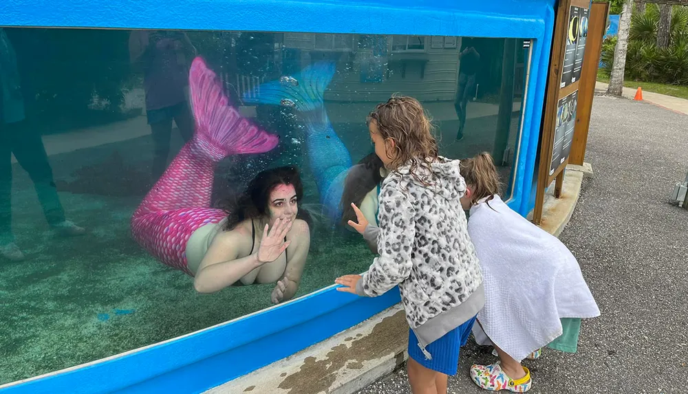 Two children are looking at a woman dressed as a mermaid inside an aquarium display