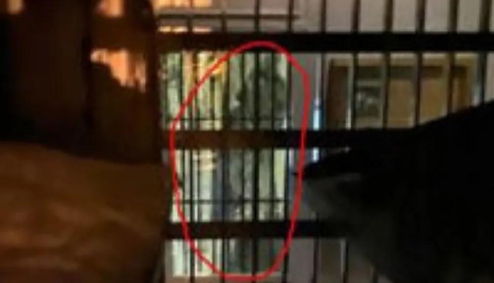 The image shows a darkened area with vertical bars and a red circle highlighting a section possibly indicating an anomaly or object behind the bars