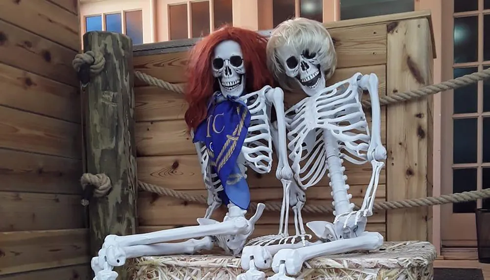 Two skeletons with wigs sit together on hay bales in front of wooden walls