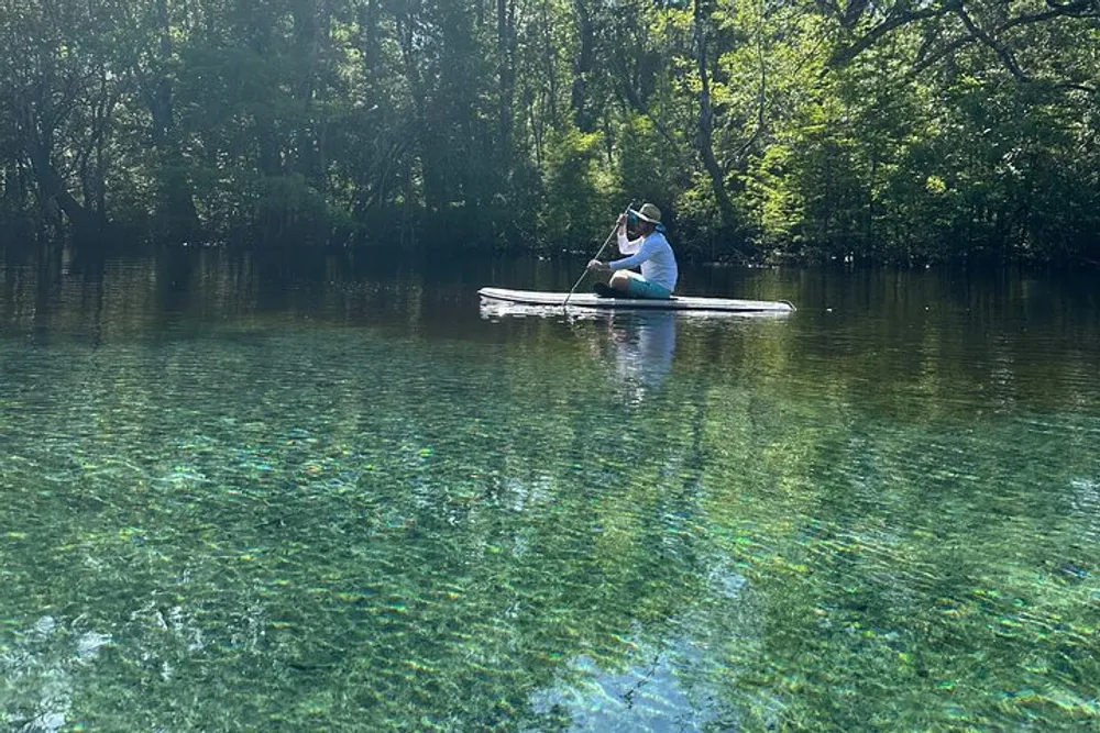 A person is kneeling on a paddleboard in a clear calm body of water amidst a natural green setting