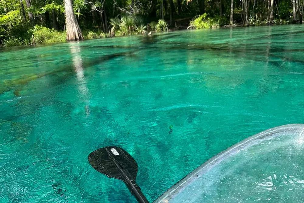 The image shows a clear turquoise waterbody from the perspective of someone kayaking featuring a paddle and the front of the kayak with lush greenery in the background