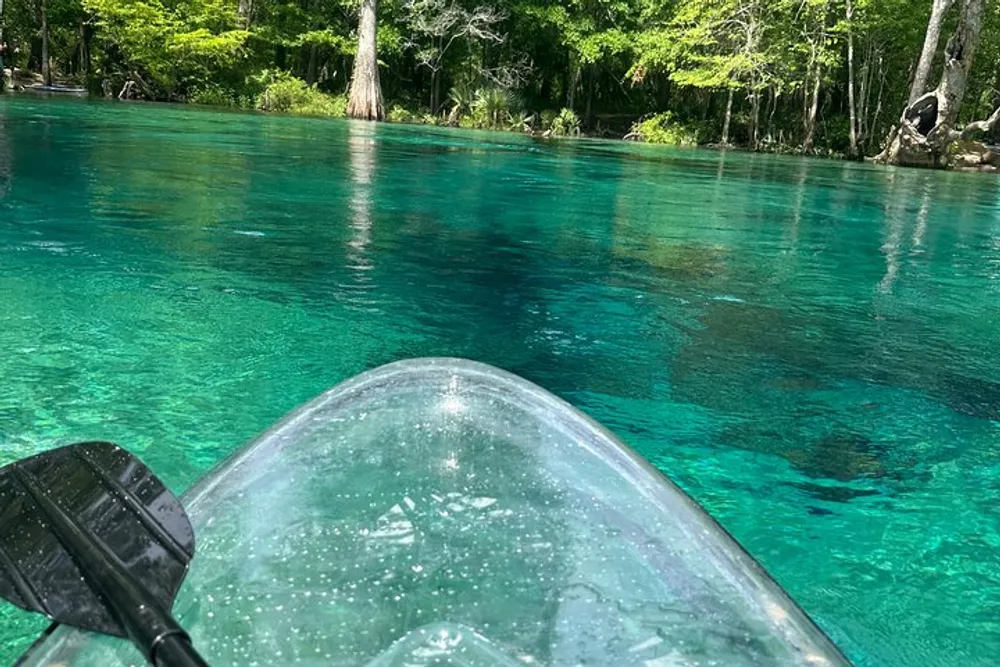 A clear kayak with a paddle resting on it floats on the stunningly crystal-clear blue waters of a serene natural setting surrounded by lush greenery