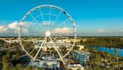 Popular Ferris Wheels