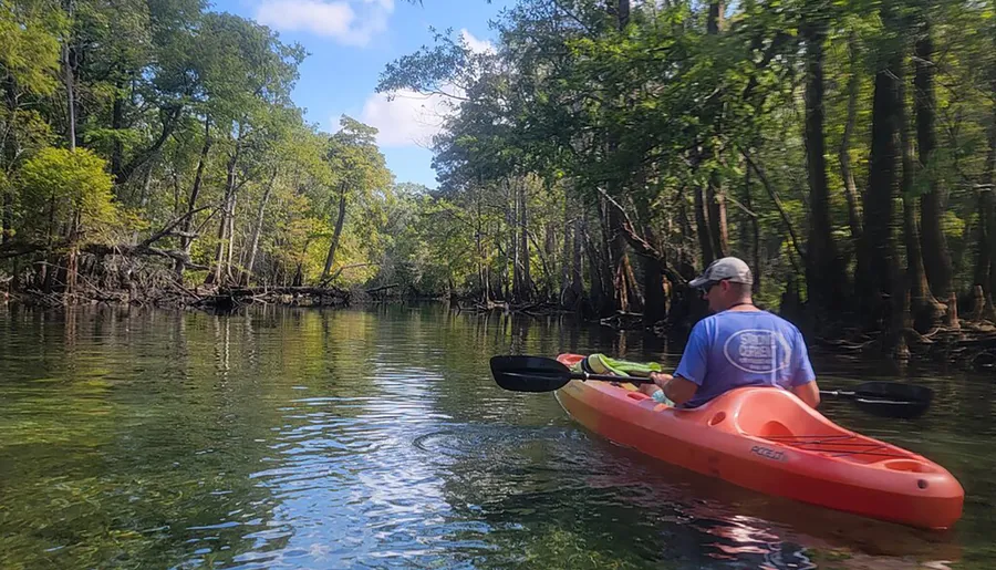 A person is kayaking on a tranquil river surrounded by lush, green trees.