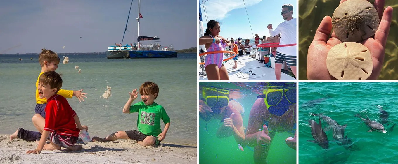 Shell Island Snorkel & Dolphin Cruise