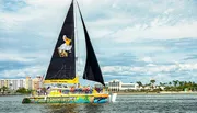 A colorful catamaran with a pelican graphic on its sail is gliding through the water near a coastal area with buildings in the background.
