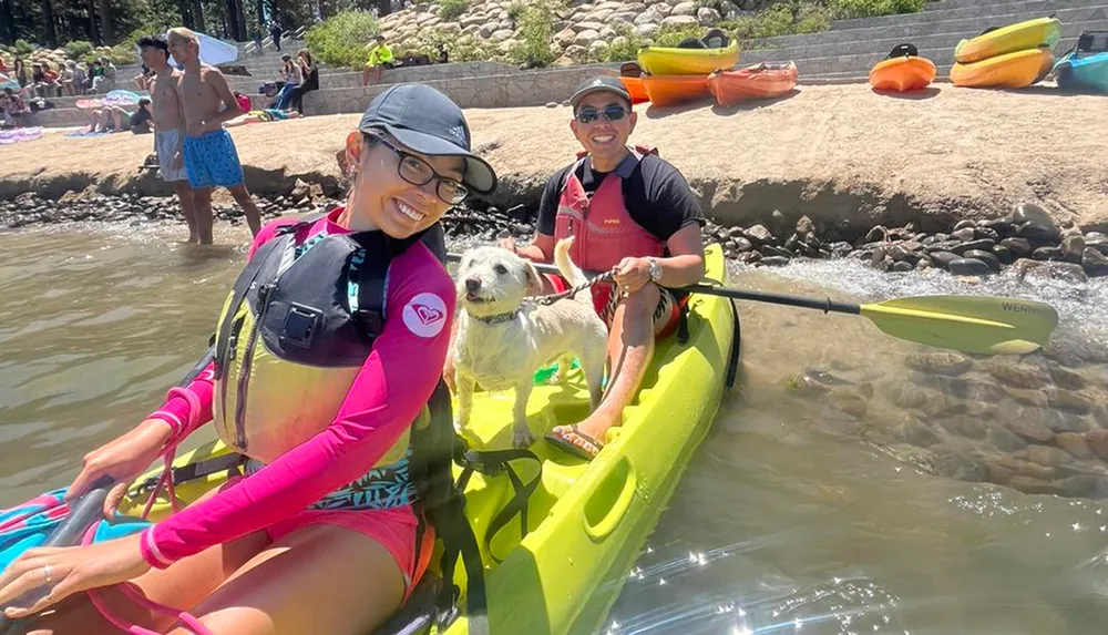 Two smiling people one holding a paddle and the other holding a dog are seated in a bright yellow kayak near a beach with other colorful kayaks and beachgoers in the background