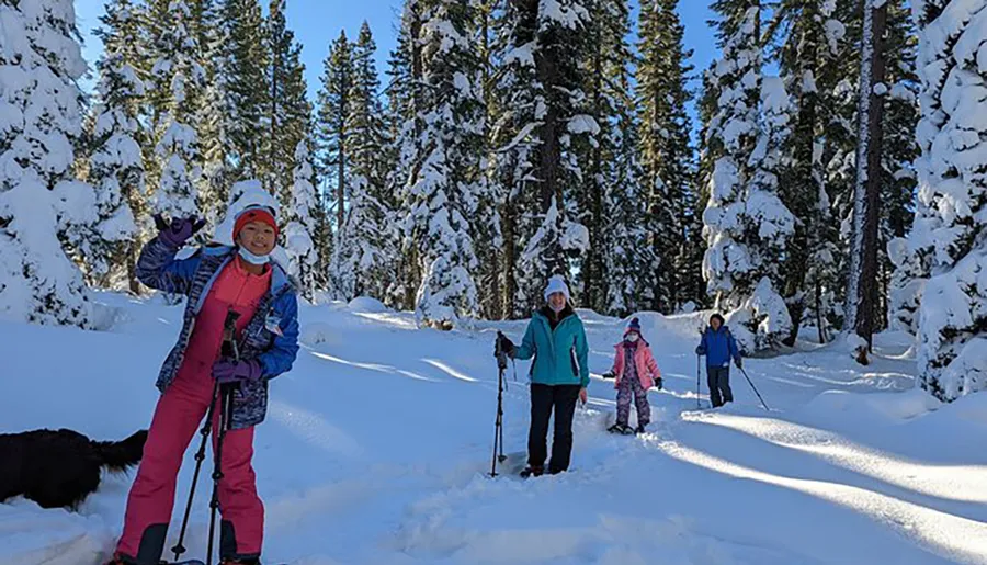 A group of people, including children, are standing amidst snow-covered trees, apparently enjoying a day of winter outdoor activities.