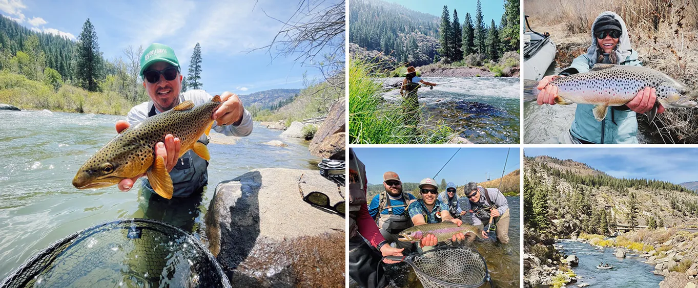 Guided Fly Fishing on Truckee River, Lake Tahoe, Truckee and Reno