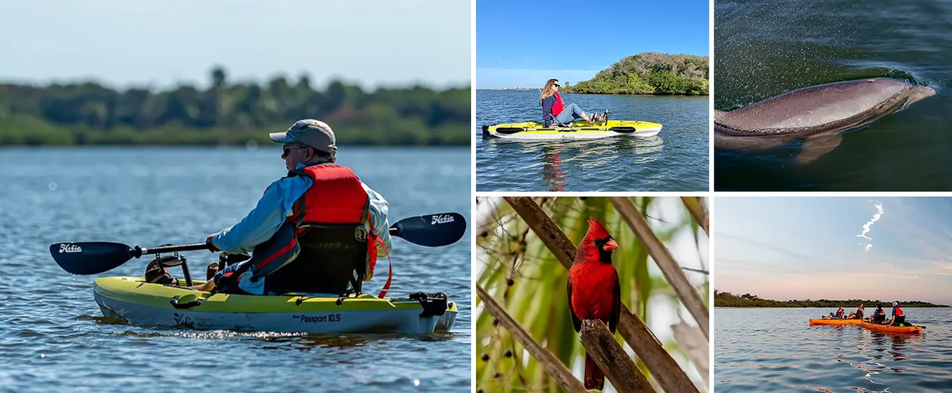 Sunrise Kayak Tour