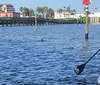 A child on a paddleboard watches a dolphin in the water near a bridge