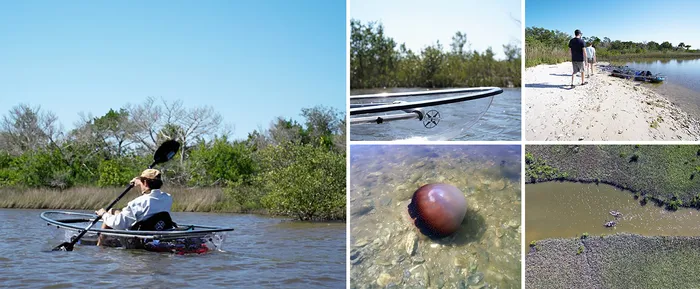 2-Hour Glass Bottom Guided Eco Tour in Flagler County-Small-Group Photo