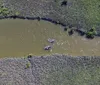 This collage portrays various scenes related to kayaking and nature exploration including a person kayaking a close-up of a kayak paddle two individuals beside their kayaks on a sandy shore a sea creature near the waters edge and an aerial view of kayaks on a curve of a waterway surrounded by greenery