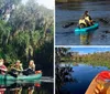 Three individuals are paddling in a green canoe through a serene waterway flanked by verdant trees draped with Spanish moss