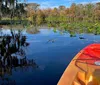 Three individuals are paddling in a green canoe through a serene waterway flanked by verdant trees draped with Spanish moss