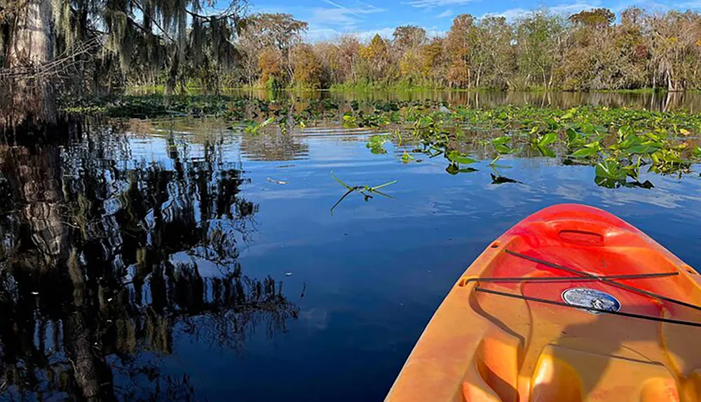 A red kayak floats on tranquil water amidst lush greenery and floating vegetation with the reflection of trees and sky creating a serene natural panorama