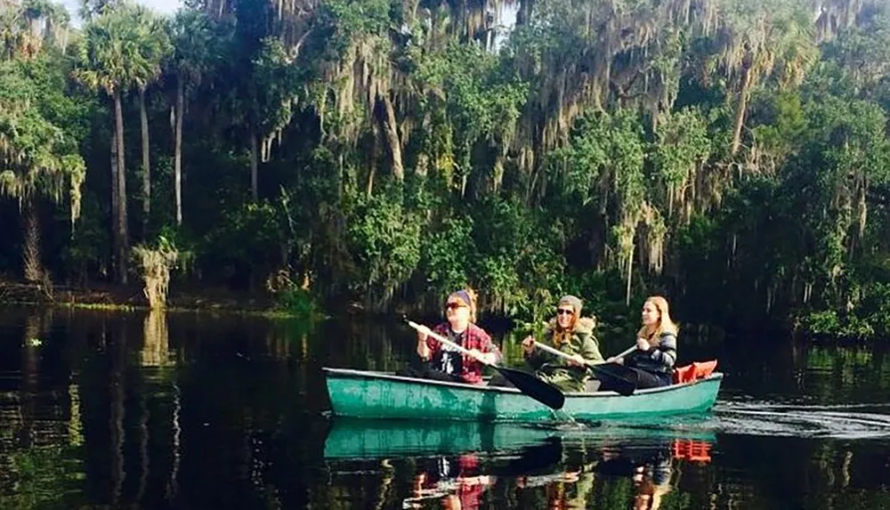 Three individuals are paddling in a green canoe through a serene waterway flanked by verdant trees draped with Spanish moss