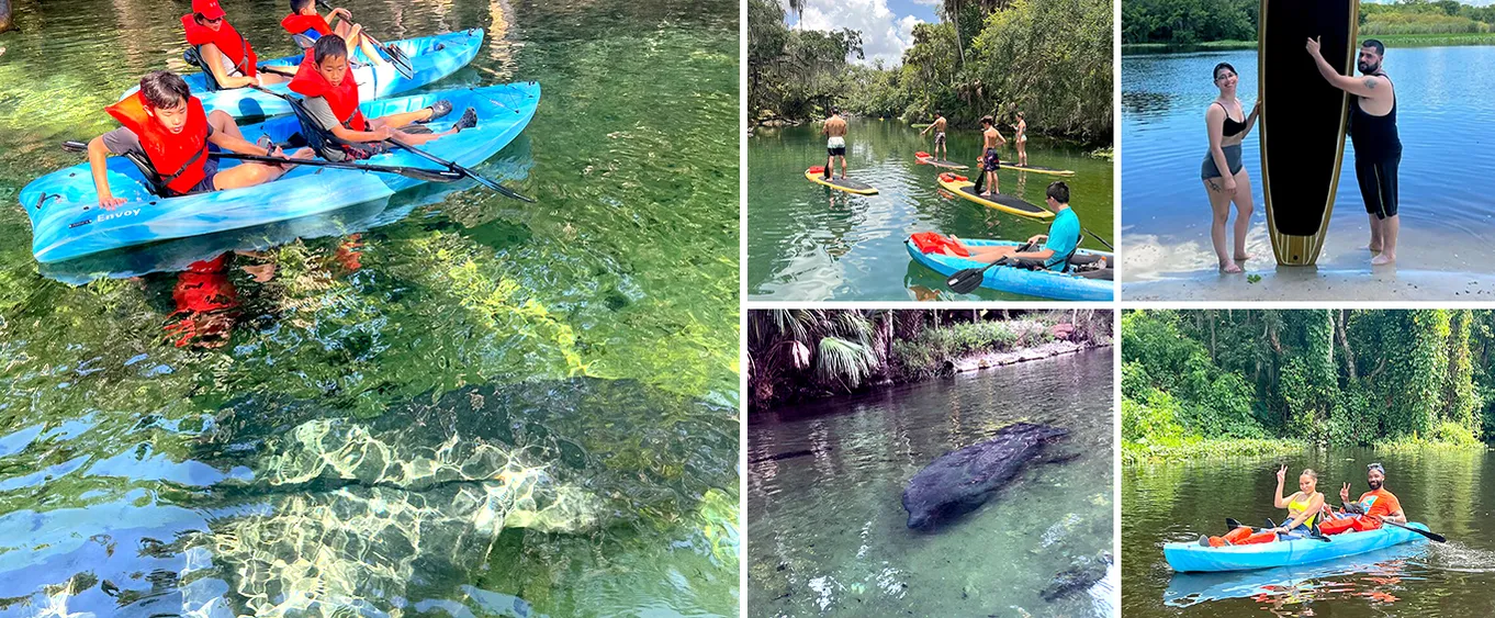 Orlando Manatee and Natural Spring Adventure Tour at Blue Springs