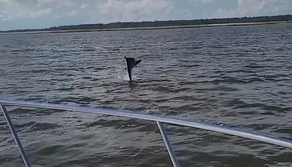 A dolphins fin protrudes above the water surface near a boat