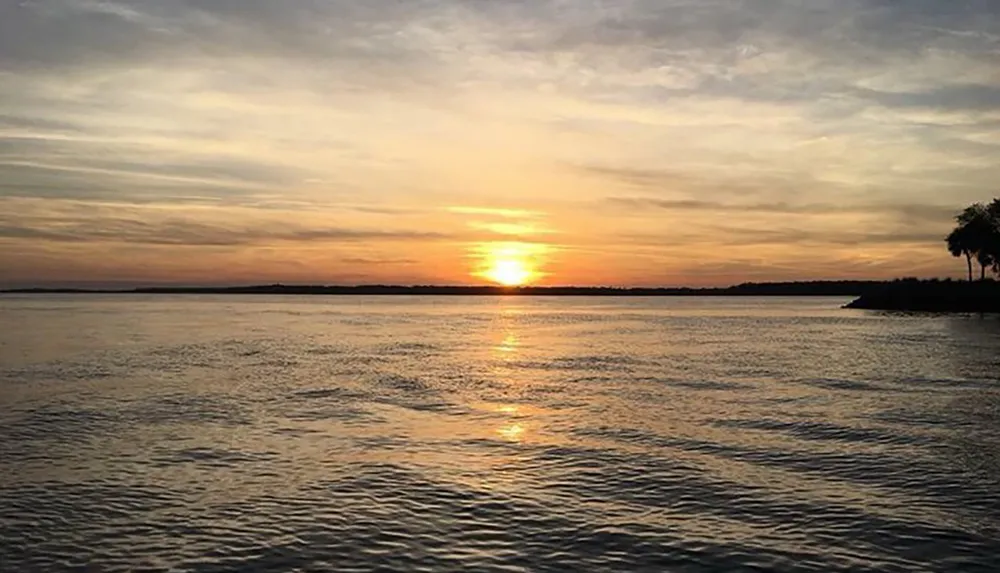 The image captures a serene sunset over a calm body of water with vibrant hues in the sky and a silhouette of a tree on the right