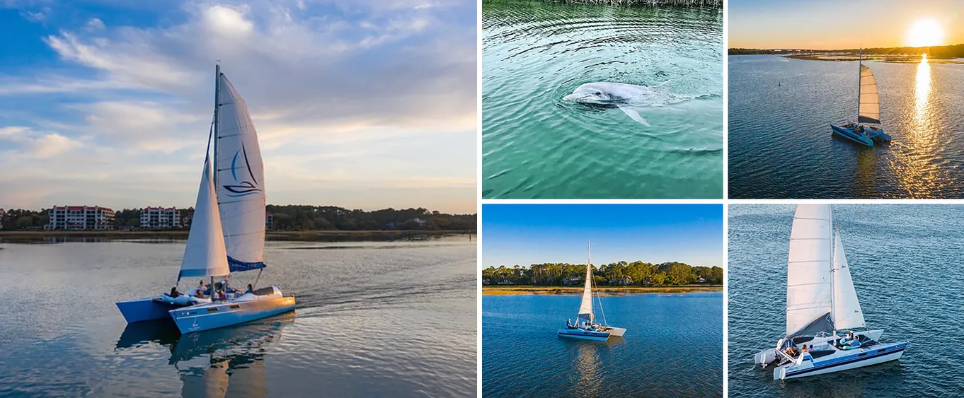 2 Hour Private Dolphin Day Sail