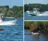 A group of people on a boat are observing a dolphin swimming nearby in a large body of water