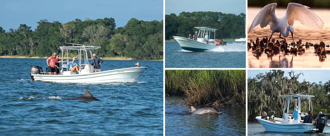 Morning Beaufort River Tour