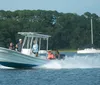 A group of people on a boat are observing a dolphin swimming nearby in a large body of water