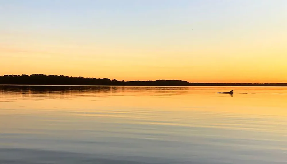 The image depicts a tranquil scene of a sunset with warm hues casting over a smooth lake surface with a silhouette of a lone bird in flight creating a serene reflection on the water