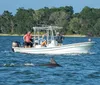 A group of people on a boat are observing a dolphin swimming nearby in a large body of water