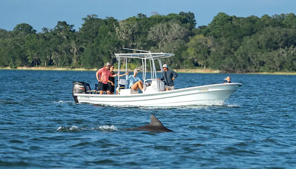 A group of people on a boat are observing a dolphin swimming nearby in a large body of water