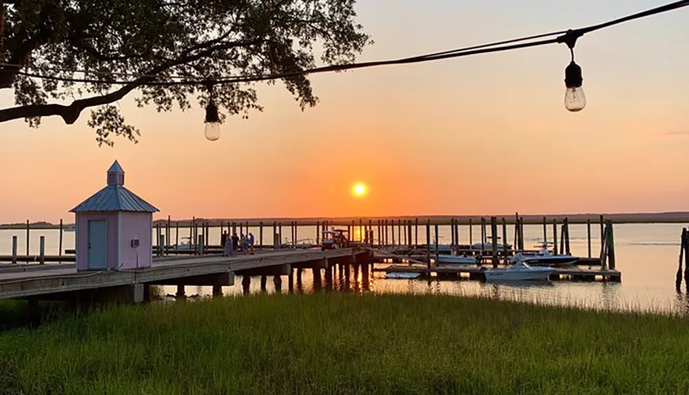 The image captures a serene sunset over a calm waterfront with a dock boats and people enjoying the view framed by a string of lights and a lush tree