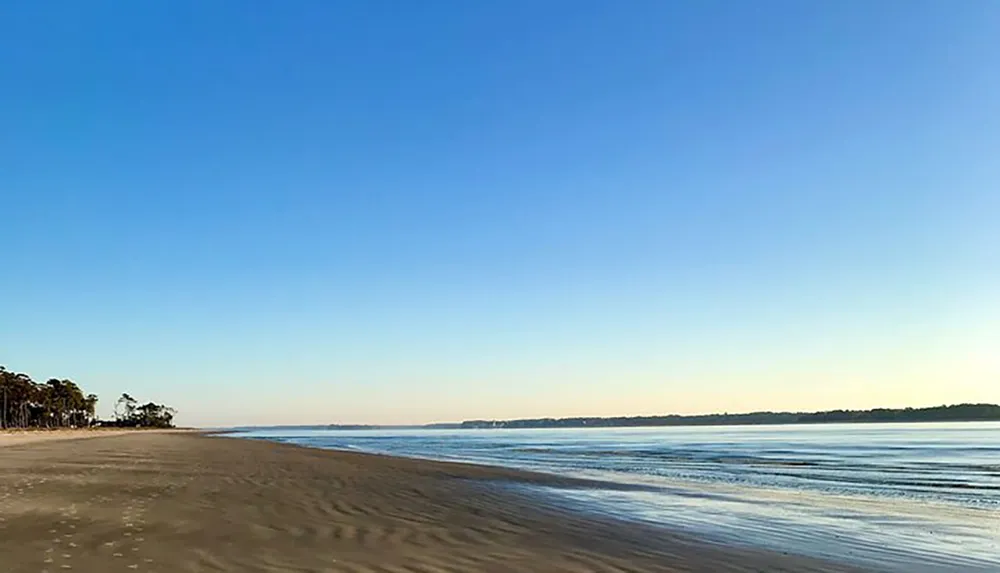 The image features a tranquil beach scene with gentle waves lapping the shore a clear blue sky above and a line of trees at the edge of the sandy beach