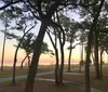 This collage features four different coastal scenes including a boat at a pier a solitary tree against a twilight sky waterfront homes on stilts and a sunset view from a dock with a destroyed structure in the water