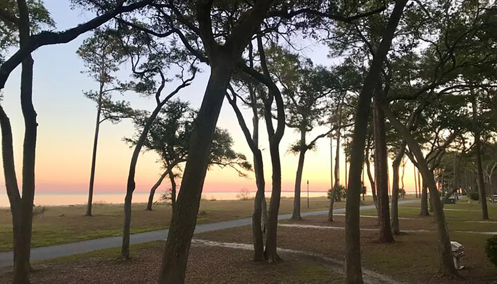 The image shows a serene park with towering trees at dusk overlooking a calm sea under a gradient evening sky