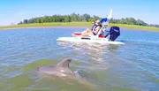 Two people enjoy a boat ride while a dolphin surfaces nearby in calm waters.