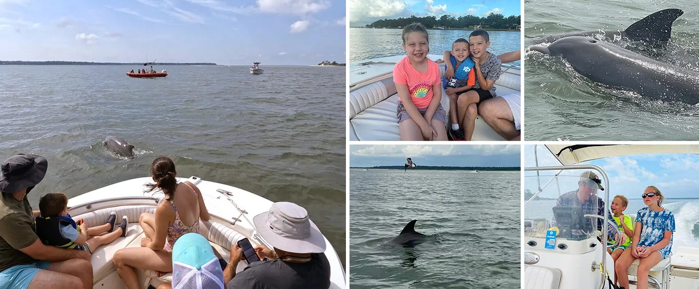 90-Minute Private Dolphin Tour in Hilton Head Island