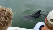 Two people on a boat are observing a dolphin swimming near the surface of the water.