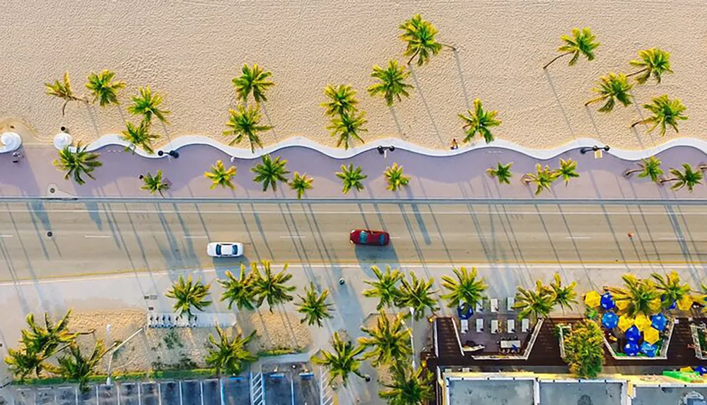 An aerial view of a sunlit street lined with palm trees adjacent to a sandy beach with two cars driving down the road