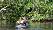 Two people are kayaking together through a tranquil mangrove forest.