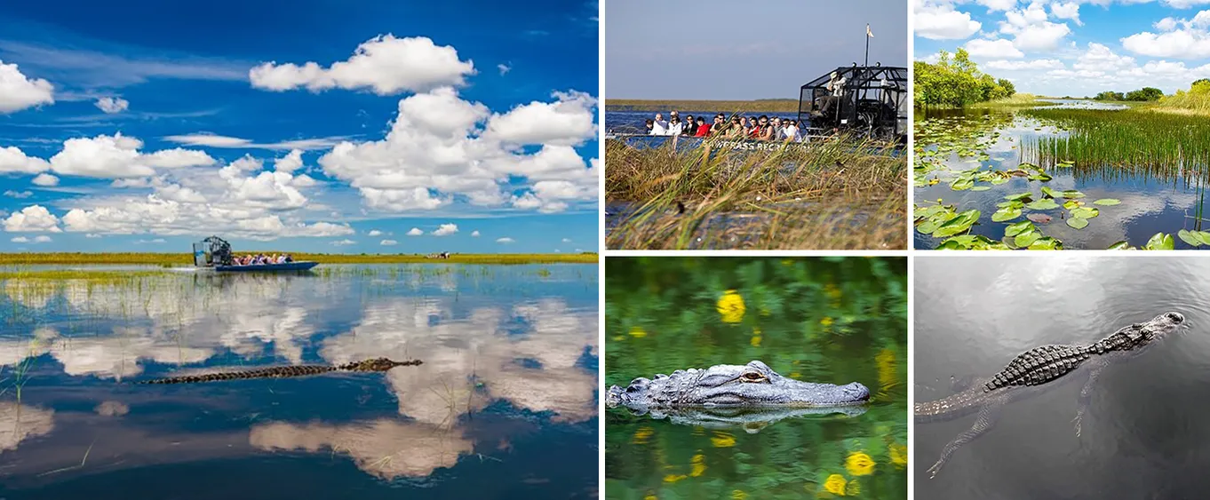 Everglades Express from Fort Lauderdale with Airboat Ride