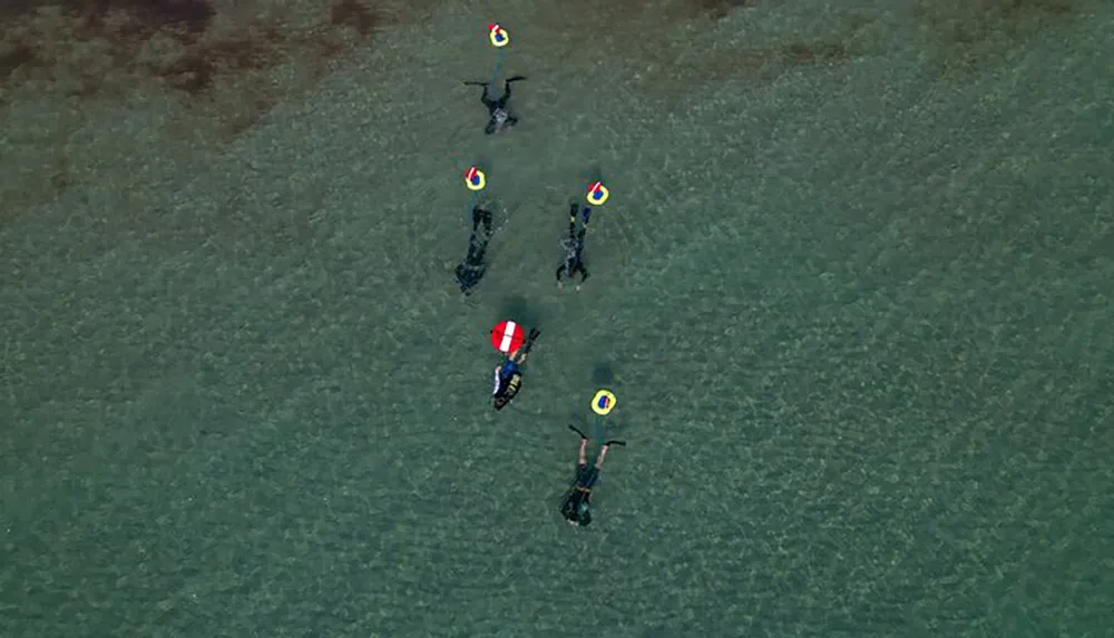 The image shows a group of people with colorful lifesaving gear practicing a rescue drill in clear shallow waters viewed from an aerial perspective