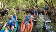 A group of people wearing life jackets are enjoying kayaking and paddleboarding in a scenic mangrove forest.