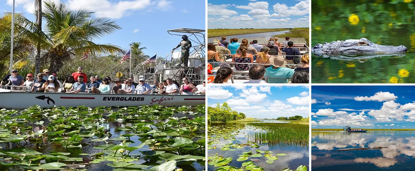 Everglades Express Small Group Tour from Miami with Airboat Ride