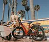 A man and a woman are smiling and posing with their bicycles on a sunny pier suggesting a leisurely day out