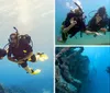 Two scuba divers are exploring underwater swimming side by side in clear blue water