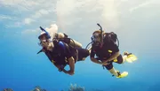 Two scuba divers are exploring underwater, swimming side by side in clear blue water.